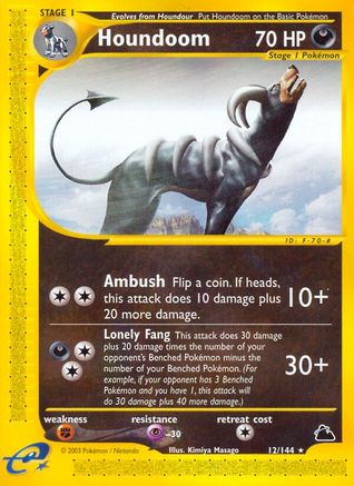 Houndoom (12) 012  Skyridge - Rare