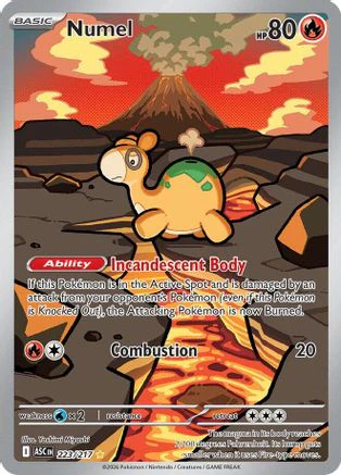 Numel 223/217  - Holofoil ME Ascended Heroes - Illustration Rare